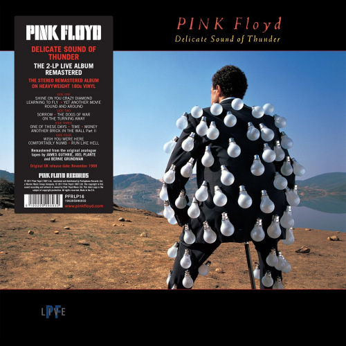 PINK FLOYD - DELICATE SOUND OF THUNDER - REMASTERED-PINK FLOYD - DELICATE SOUND OF THUNDER - REMASTERED-.jpg